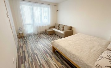 Pronájem zrekonstruovaného, zařízeného bytu 1+1, Bojkovice | I-reality.eu